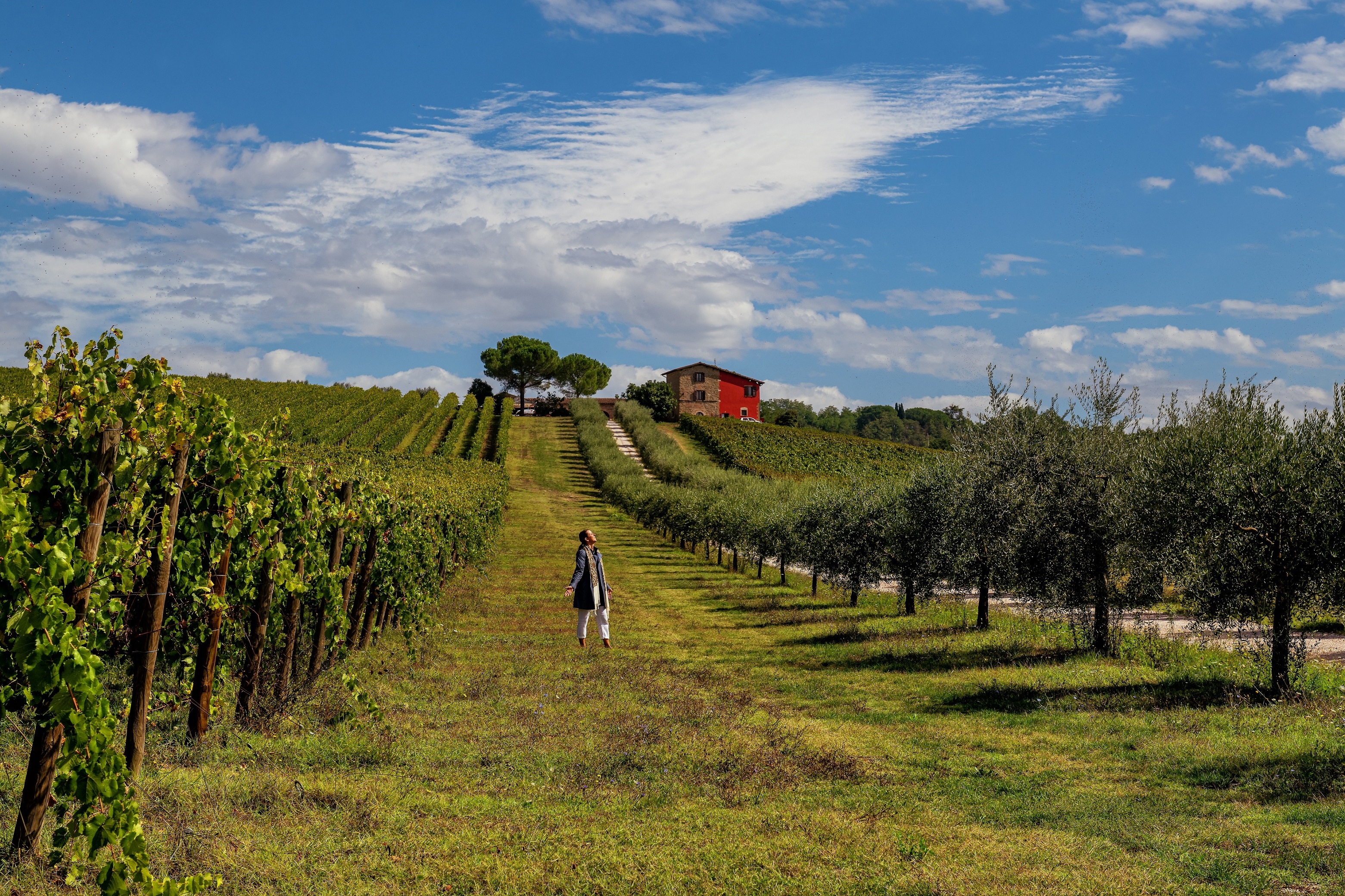 Torgiano and Deruta among wine and majolicas