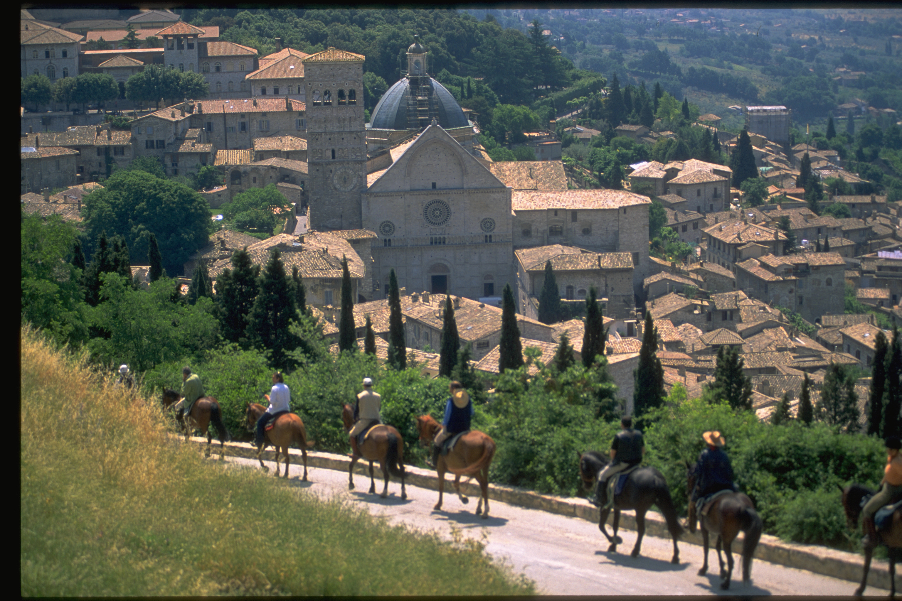 Le Cattedrali e  le chiese romaniche