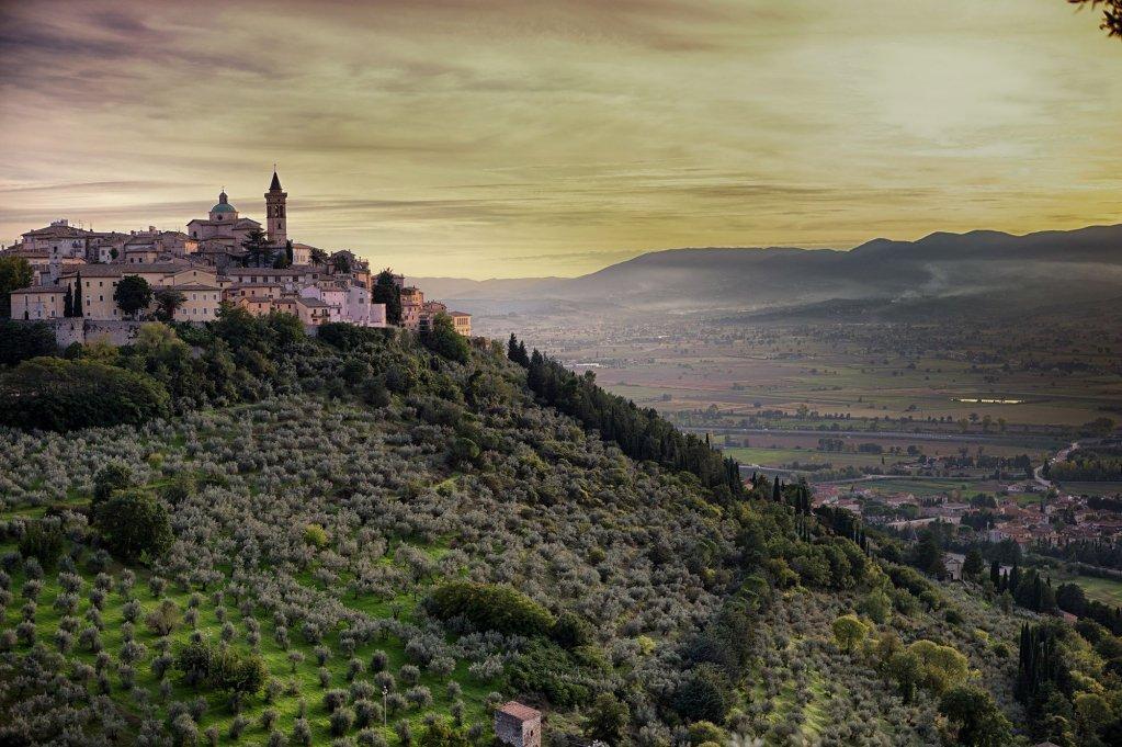 Trevi, the "Capital" of Olive Oil production