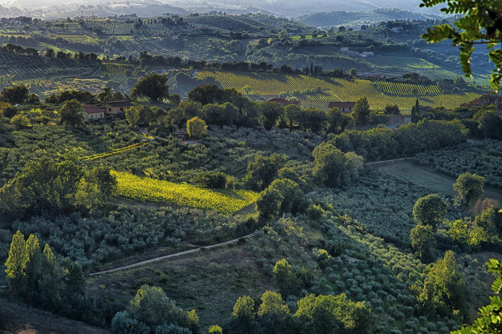 Vini DOC e DOCG Montefalco - Sagrantino