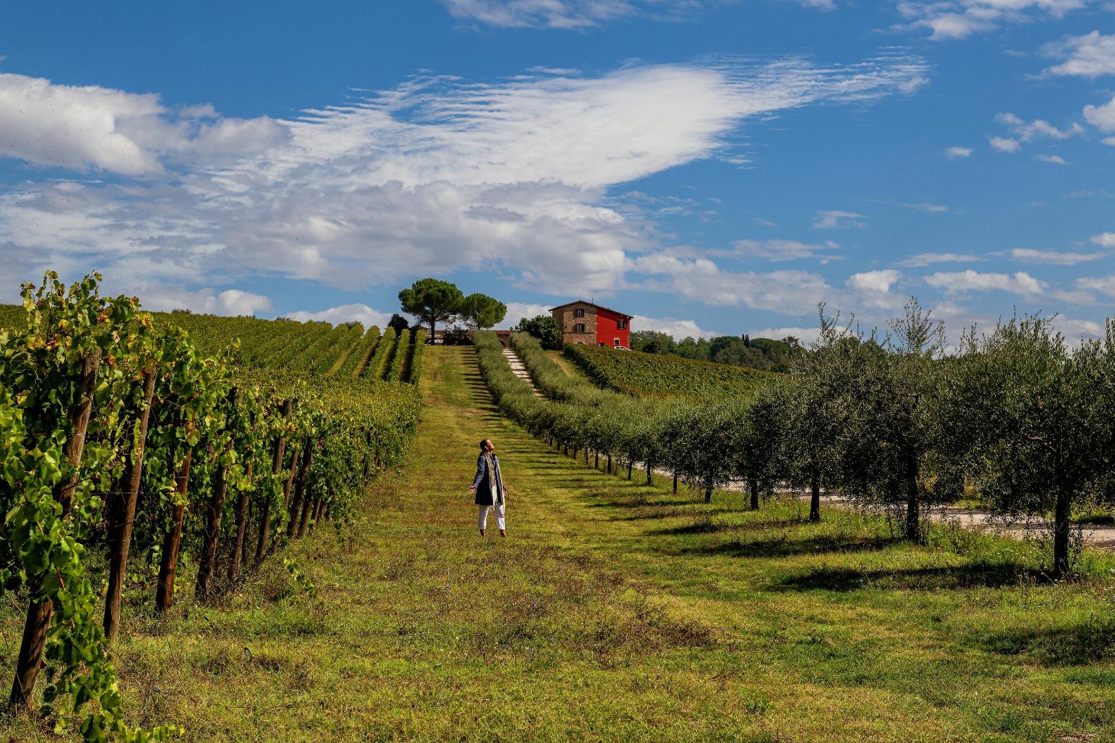 Doc e Docg Torgiano Wines