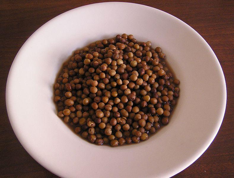 Piatto bianco con Roveja cotta, legumi piccoli e tondeggianti di colore marrone.