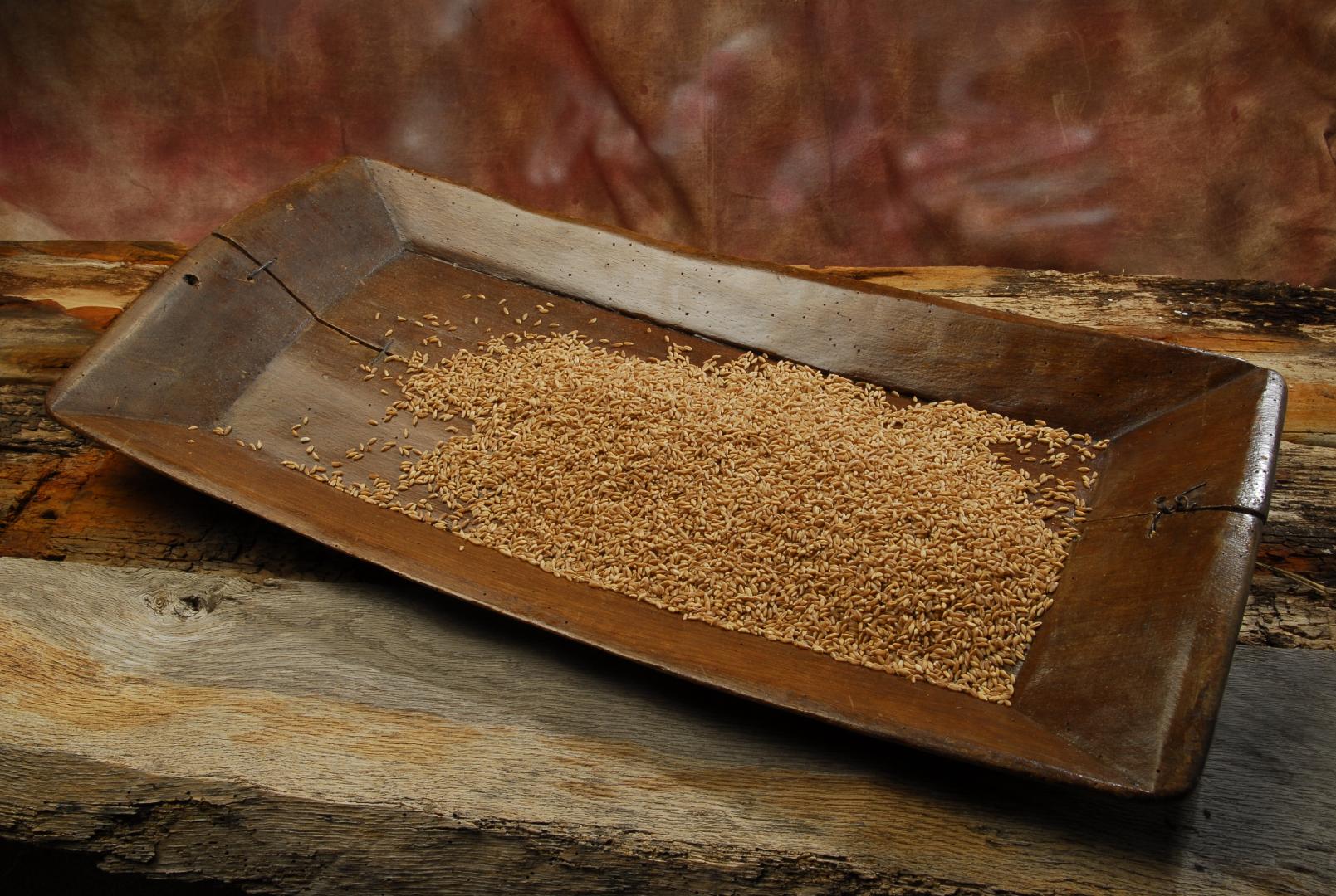 La lenticchia di Castelluccio di Norcia IGP
