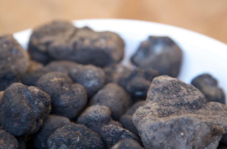 Tartufi neri con patina terrosa, una superficie irregolare e rugosa, disposti in un piatto bianco.