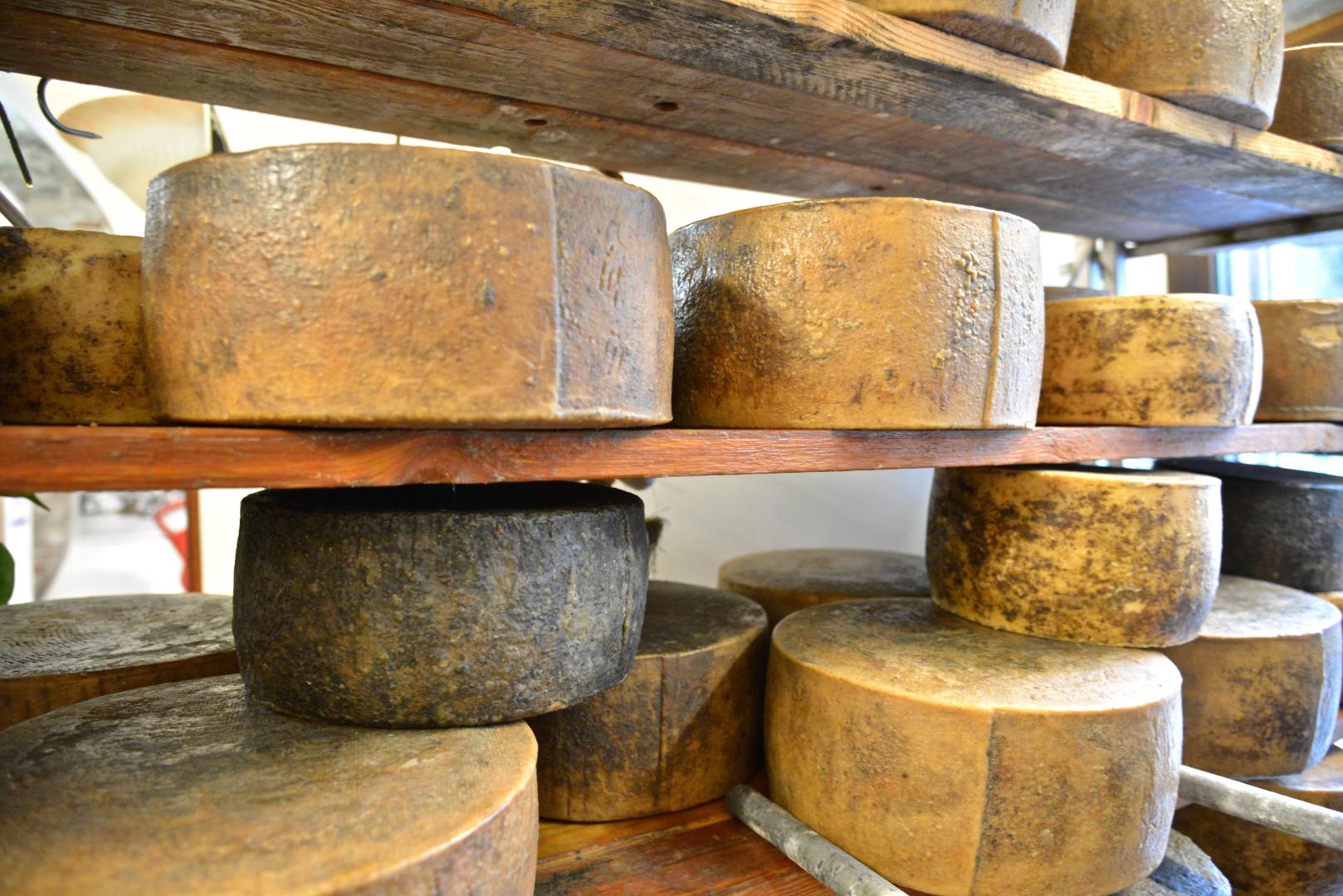 Shepherd’s Pecorino di Norcia