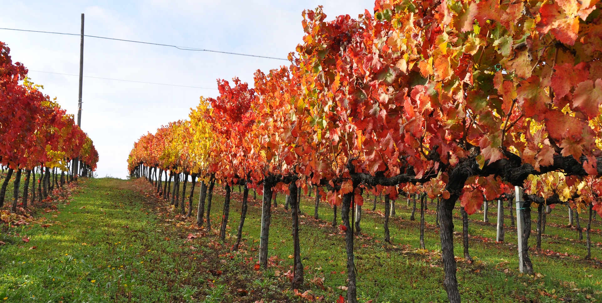 Da Montefalco a Giano dell'Umbria lungo la Strada del Sagrantino