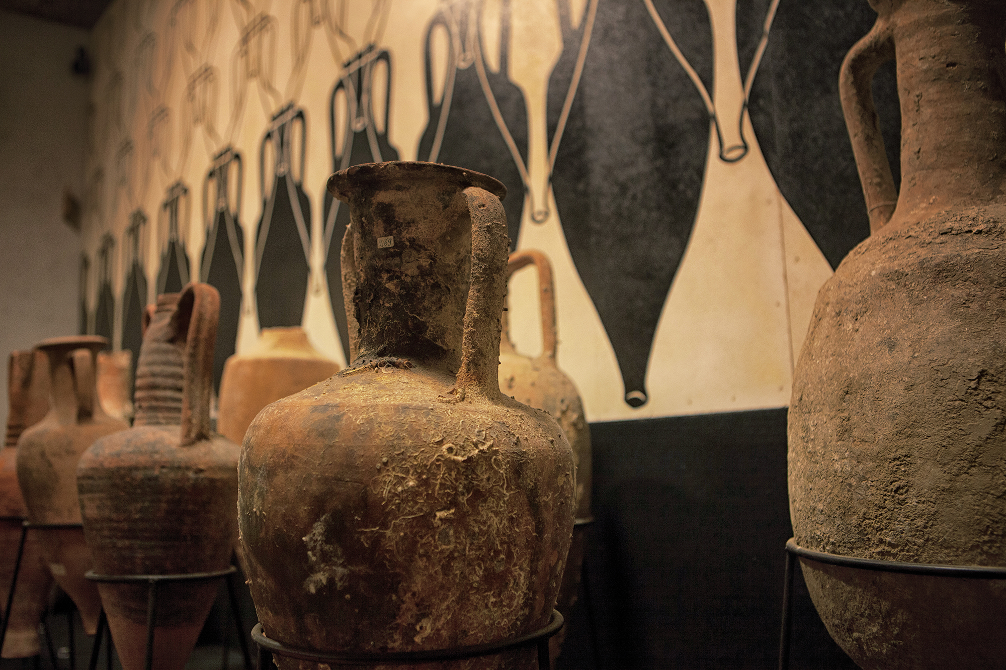 Von Perugia nach Todi, entlang der Weinstraße des Cantico