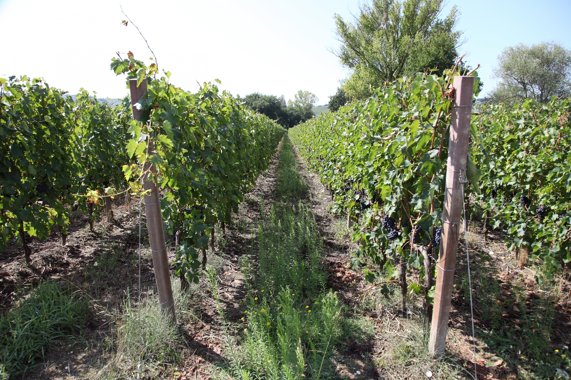 Terni and Narni: a journey through tradition and taste