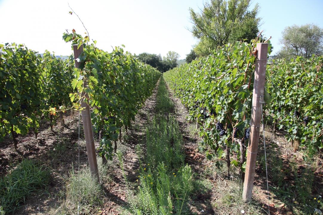 Weekend nella natura e nella storia, tra Amelia Narni e non solo