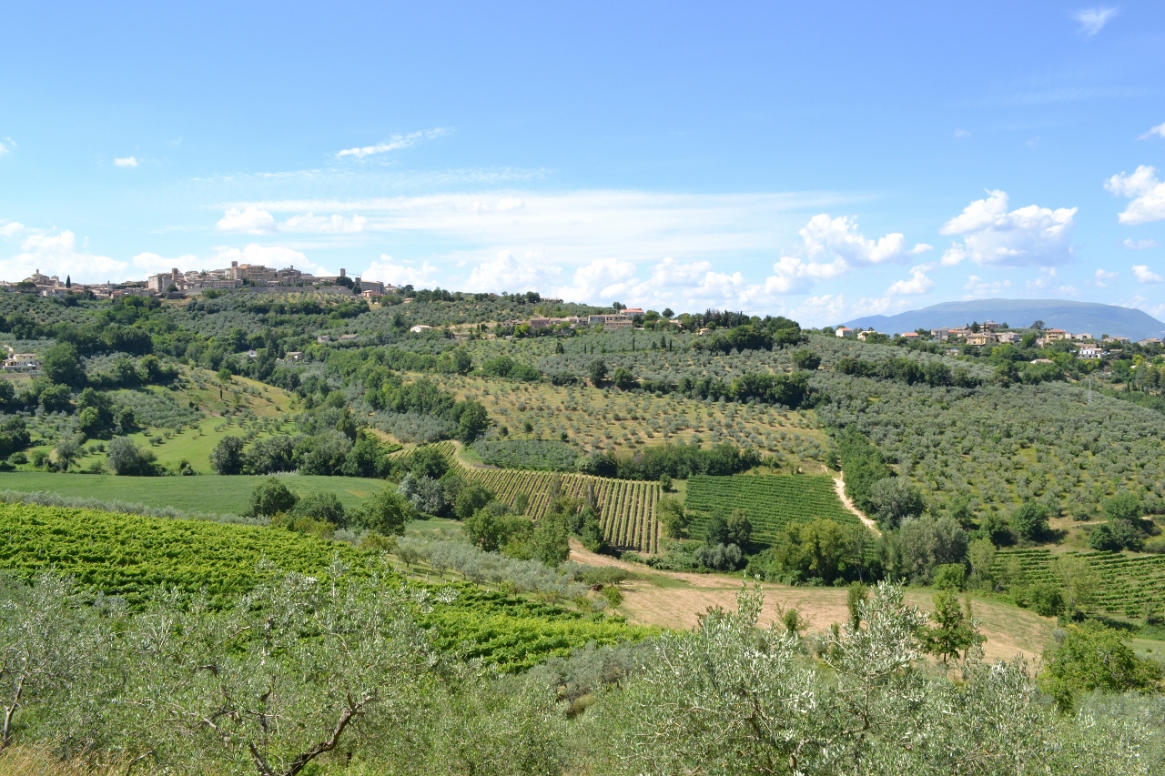 Montefalco, ristorante a cielo aperto