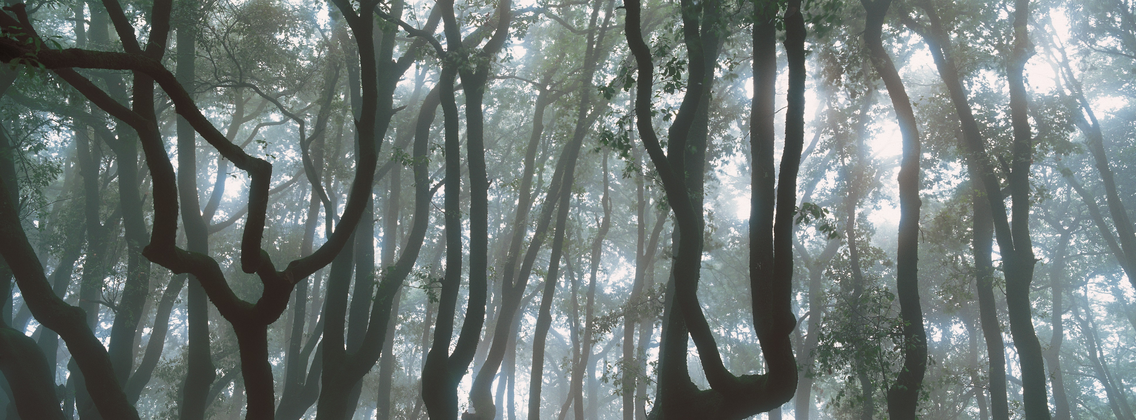 Itinerario da Assisi a Gubbio