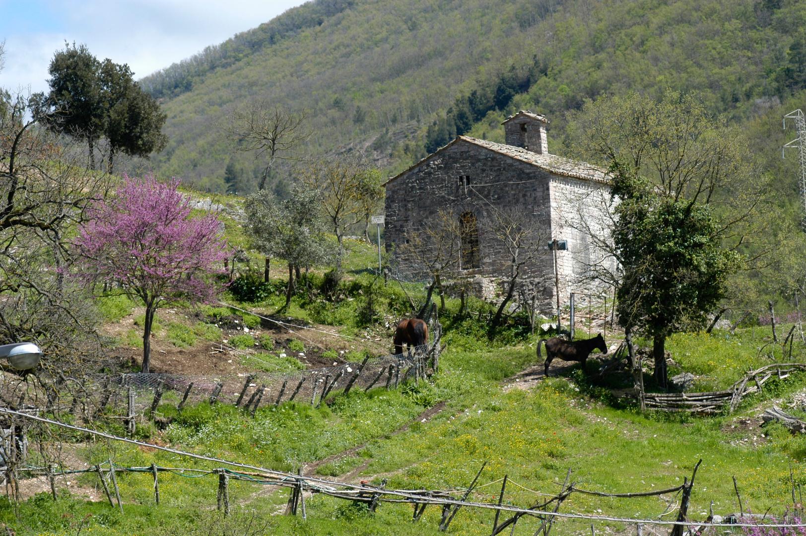 Ceselli: canyoning, rafting and trekking