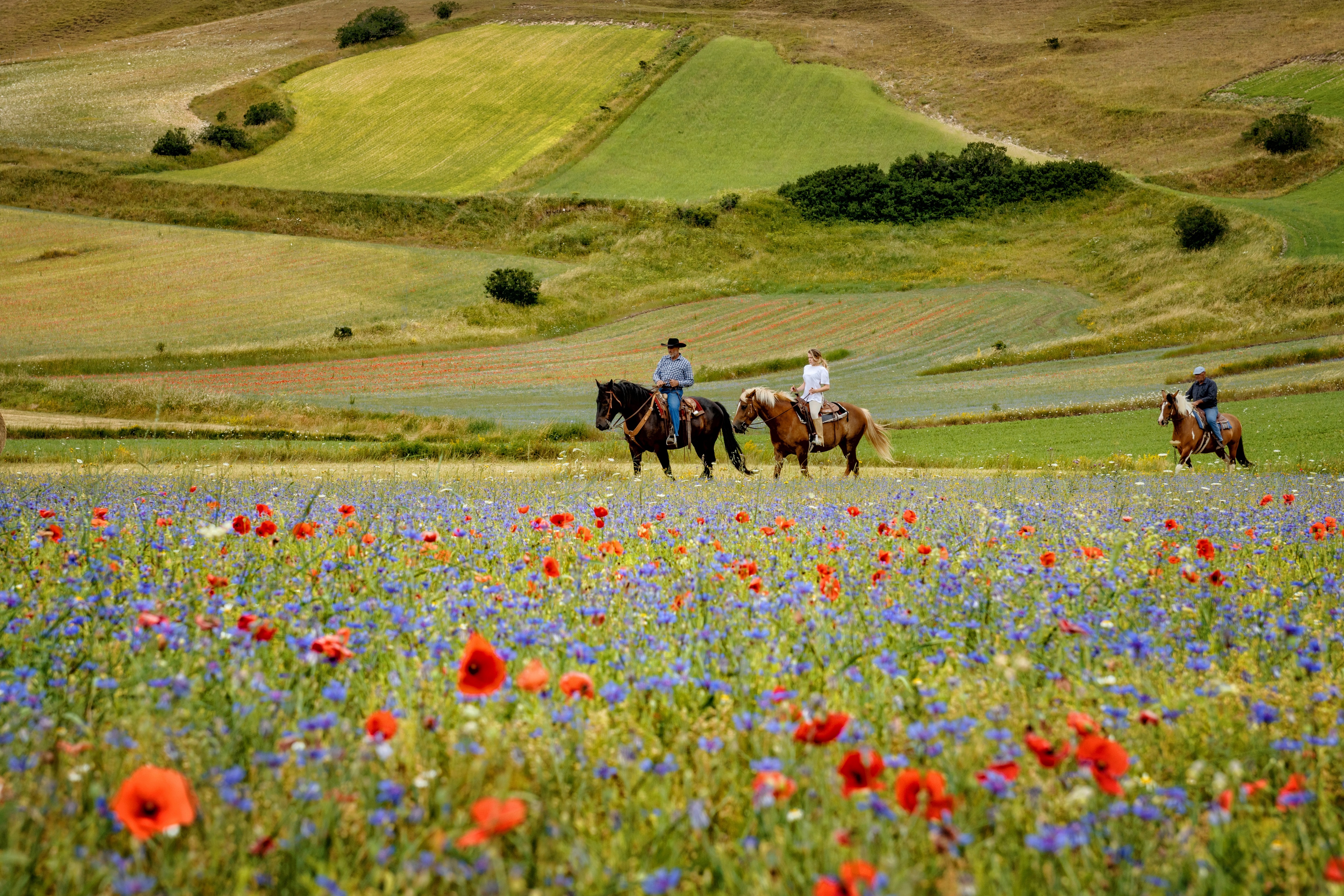 Excursion from Norcia to Castelluccio