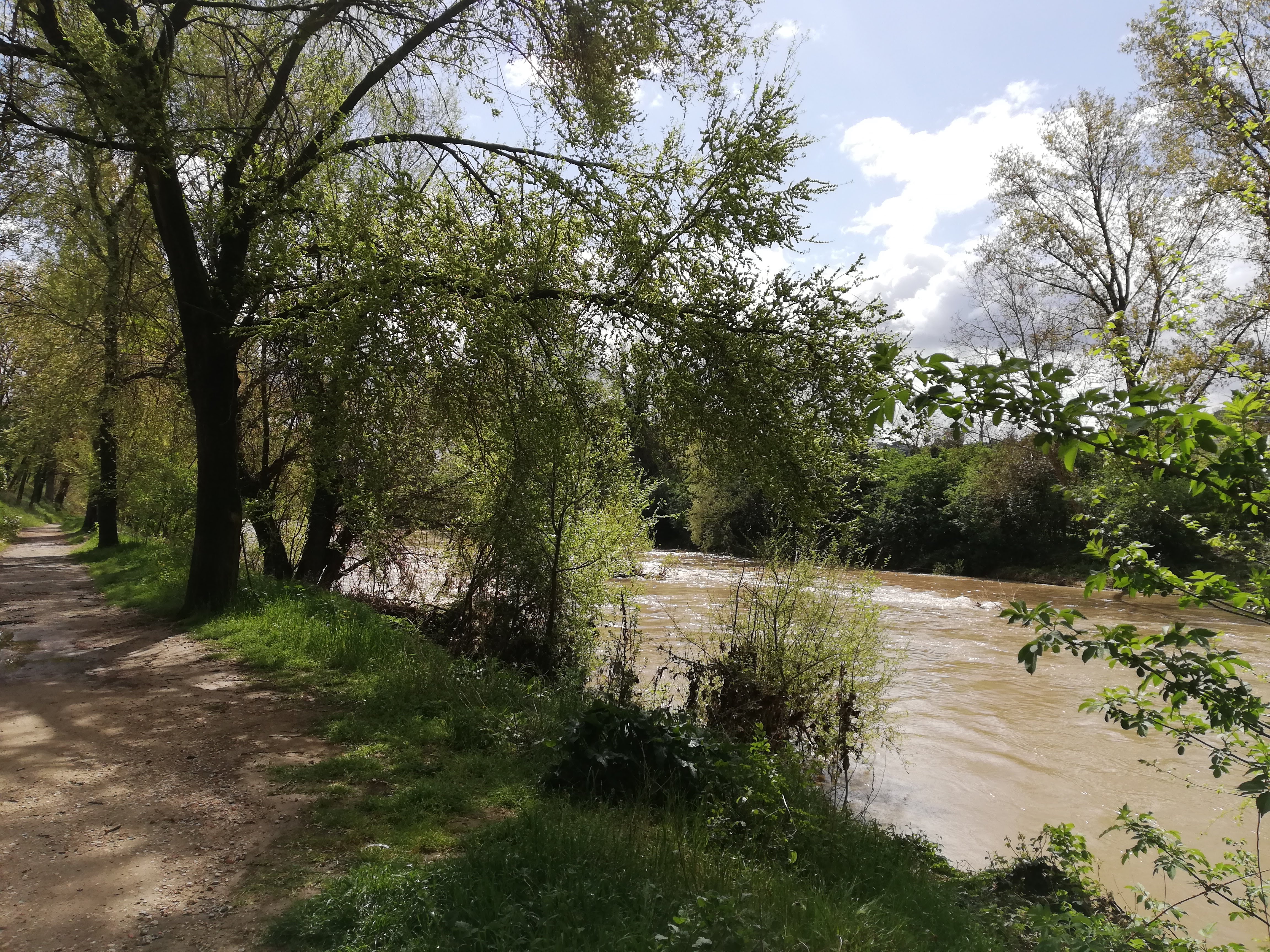Flussufer mit Radweg