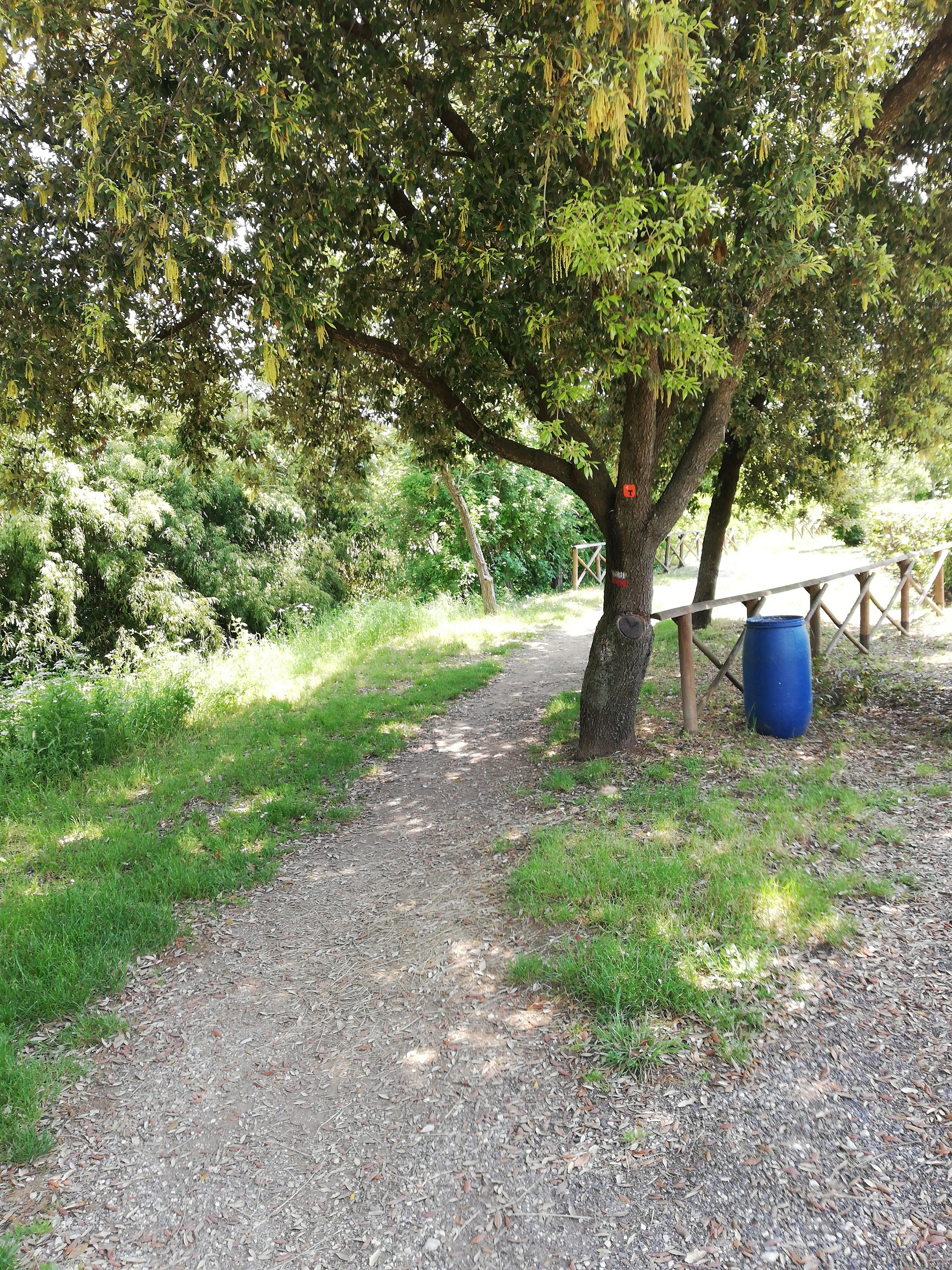 Connection Bike Lane of the Tiber –Bike Lane Assisi –Spoleto