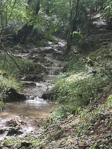 Small stream flowing through the Valloncello woodland along the trail leading to the Cascate de Lu Cugnuntu.