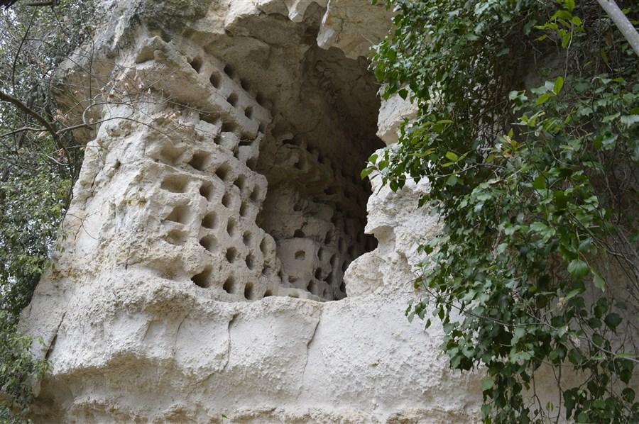 Castel Rinaldi