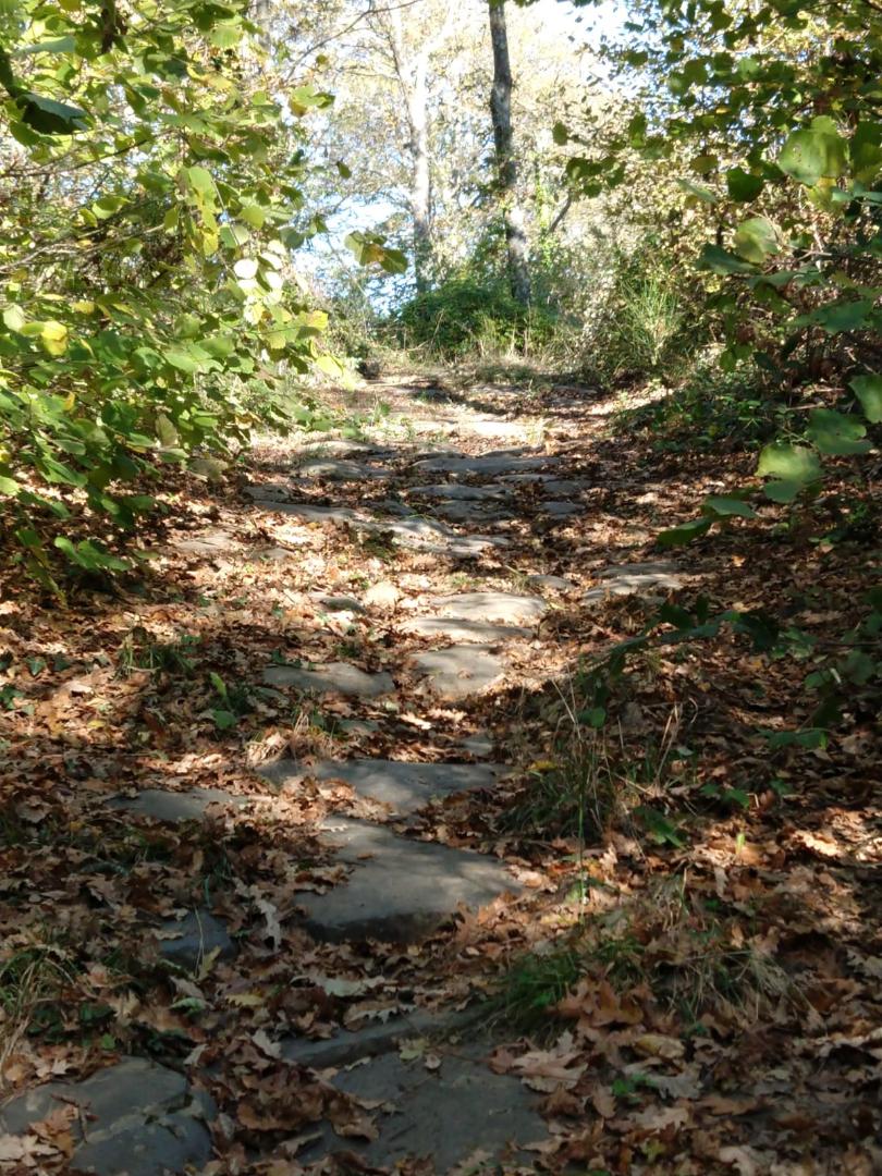 La Necropoli del Lauscello