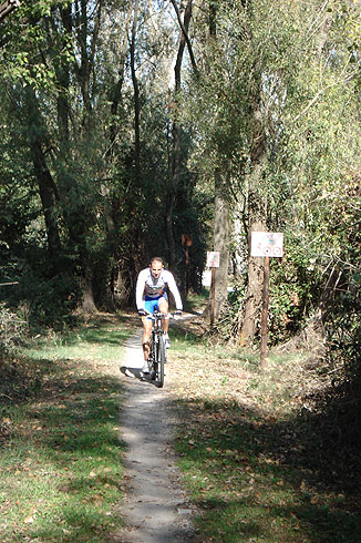 Along the shores of lake Trasimeno between Castiglione and Tuoro