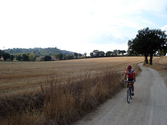 Le vie del Sagrantino e i panorami di Montefalco