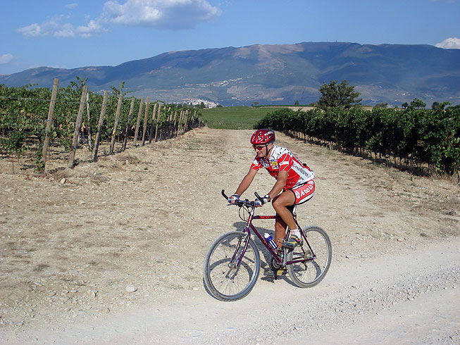 Le vie del Sagrantino e i panorami di Montefalco