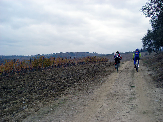 From Paciano to Città della Pieve over Monte Pausillo