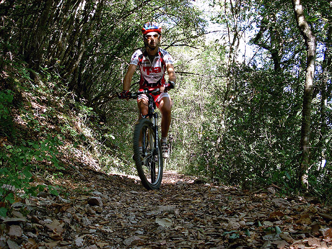 Die Stadt der 2 Welten und der heilige Wald von Monteluco