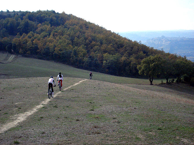 Lake Corbara and the woods of Monte Peglia