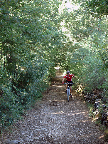 Cascia: prairies et bois dans les montagnes de Santa Rita