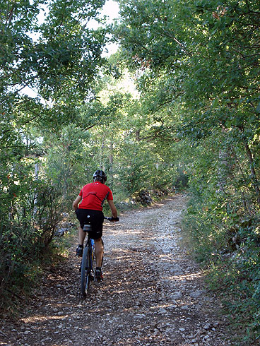 Cascia: prairies et bois dans les montagnes de Santa Rita