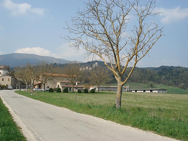 The farms and estates of the Tiber Valley