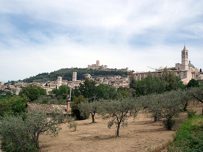 From Spello to Assisi along the ancient Olive Way