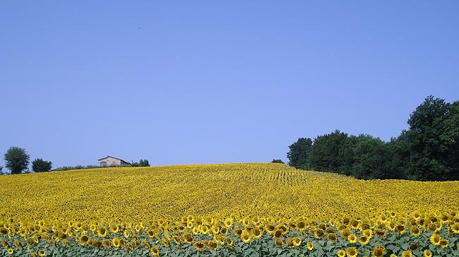 Cycling along the Umbria Valley cycle path between Trevi and Spoleto