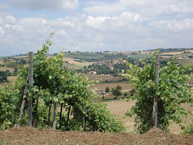 Kaum Ebene zwischen dem Nestore Flusstal und dem Monte Peglia