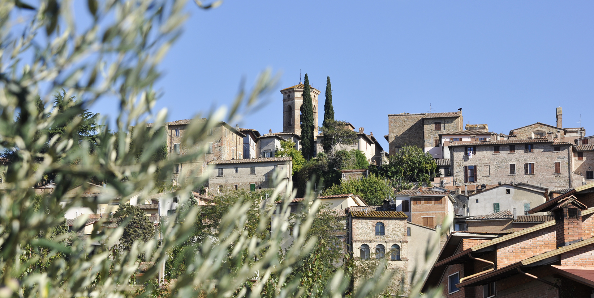 Vue de Deruta avec des maisons en pierre et le clocher, parmi les cyprès et les oliviers sous un ciel bleu limpide.