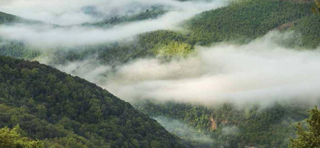 Titolo: La réserve de biosphère mondiale UNESCO du Mont Peglia