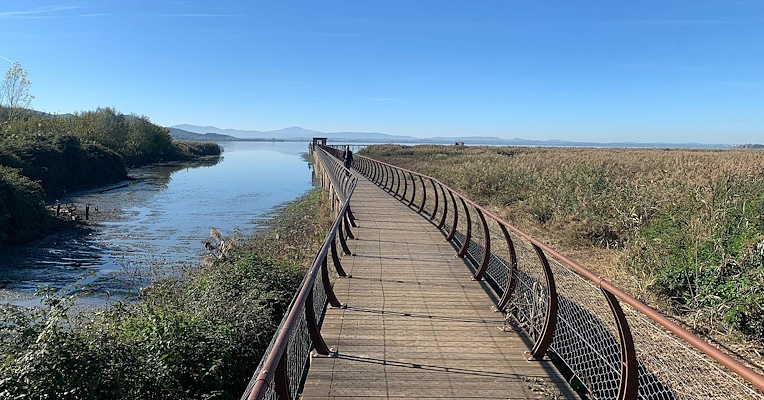 Eine Fußgängerbrücke, die zwischen Schilfrohren und Wasserflächen schwebt, mit dem Trasimeno-See im Hintergrund.