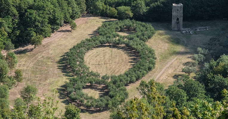 Ein Grasfeld mit 3 Kreisen, die von Olivenbäumen gebildet werden, einem mittelalterlichen Turm auf der rechten Seite und Wäldern sowie Olivenhainen, die sich auf beiden Seiten erstrecken.