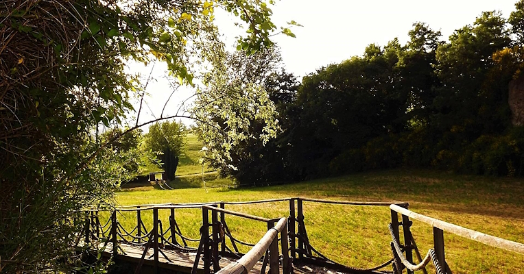 Wooden walkway in a green meadow leading into the surrounding forest