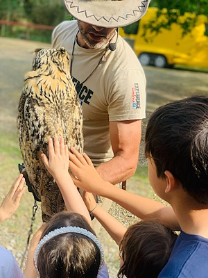 Children are gently stroking the back of a bird of prey perched on a falconer's arm.