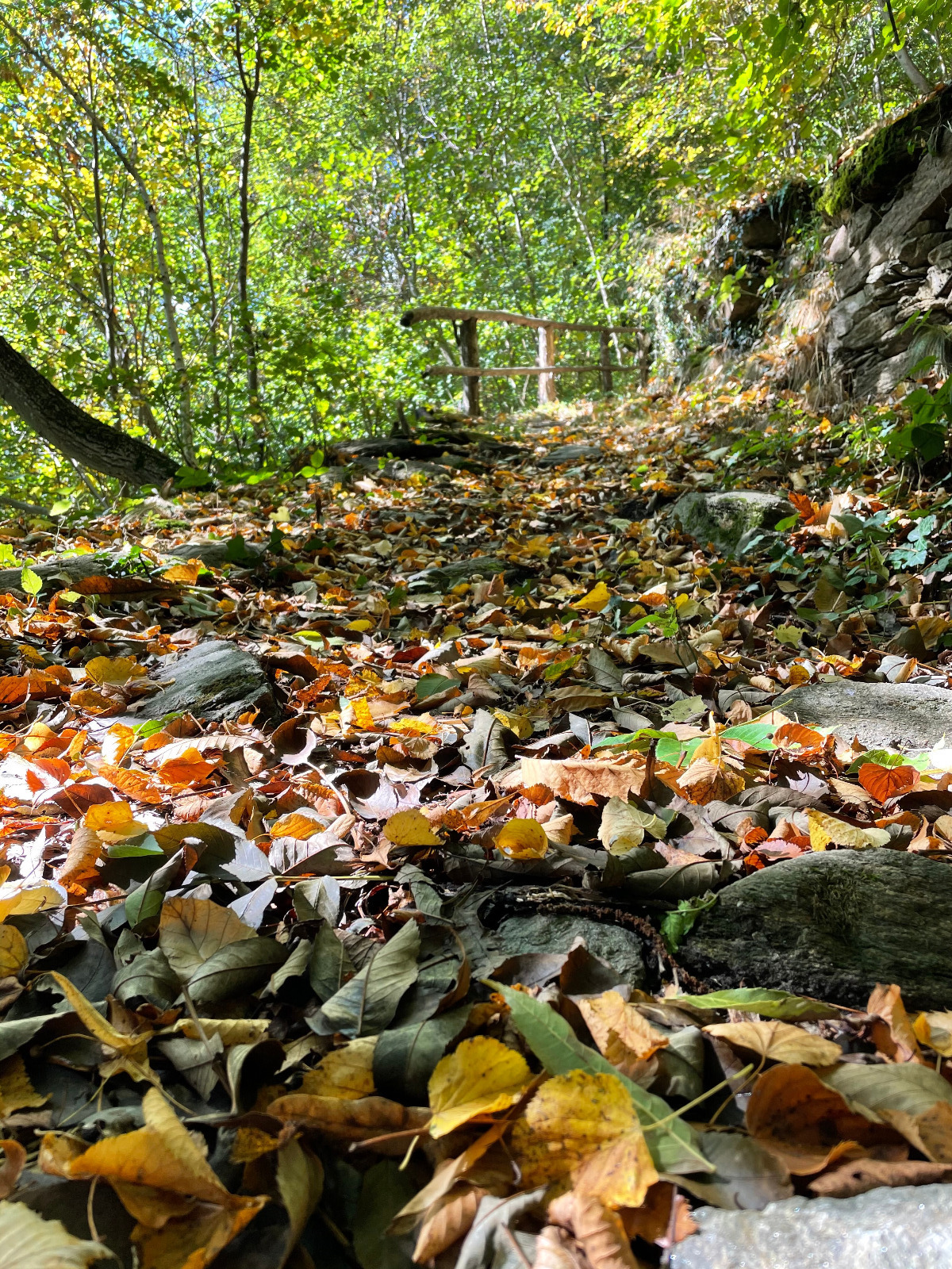 Autunno in Umbria