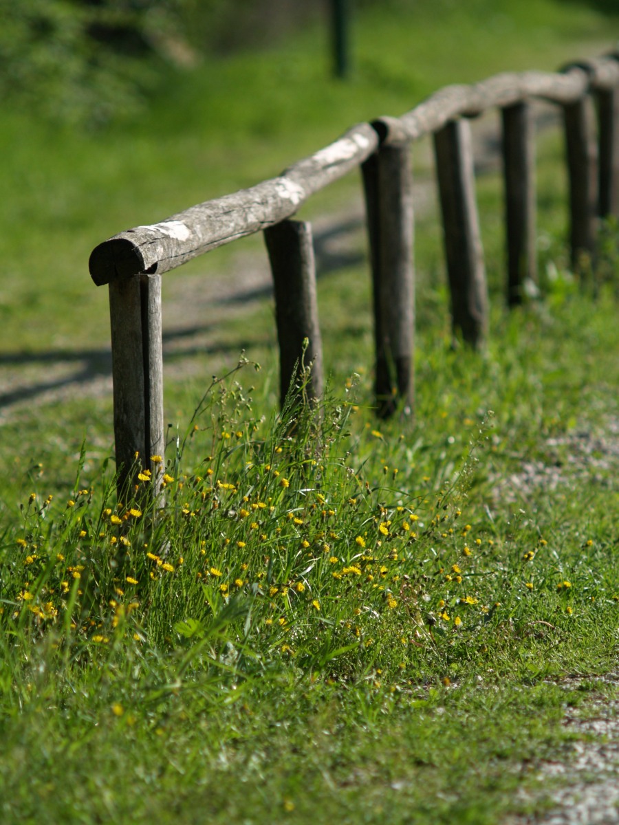 Weekend nella natura e nella storia, tra Amelia, Narni e non solo