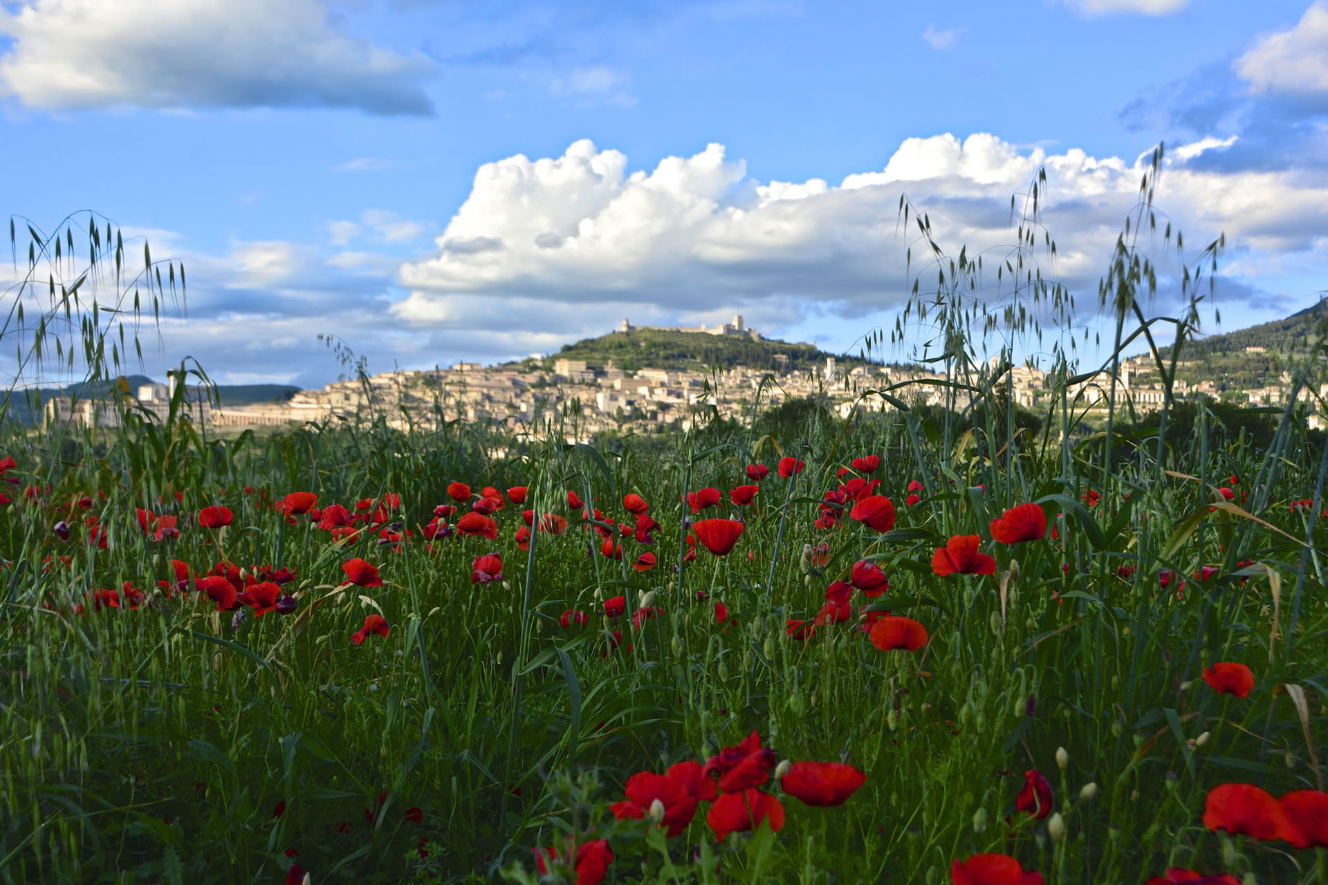 Viaggio nella fede: percorri il Cammino della Luce