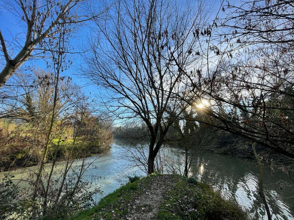 Trekking urbano e naturalistico a Torgiano