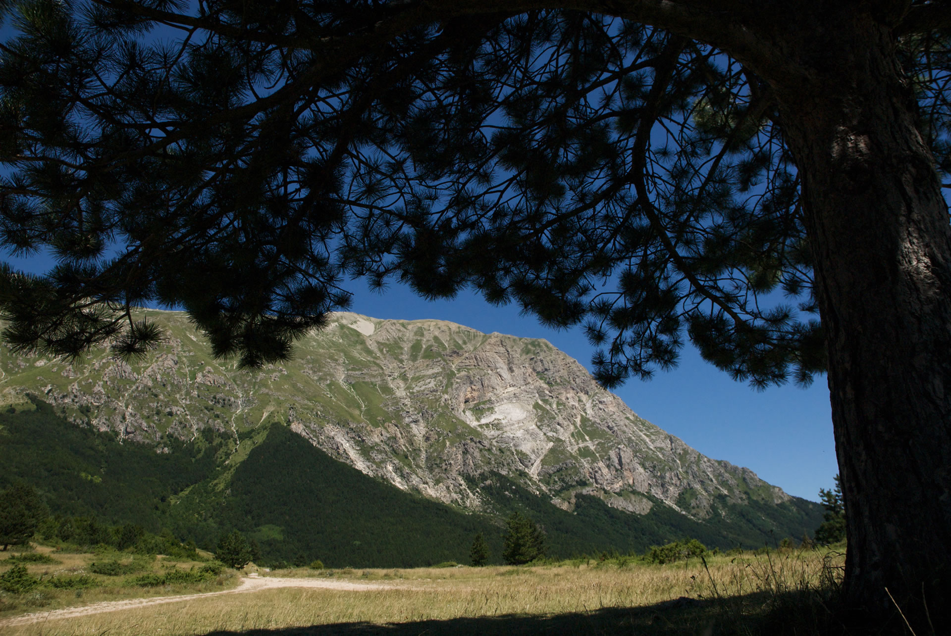 Trekking sui Monti Sibillini