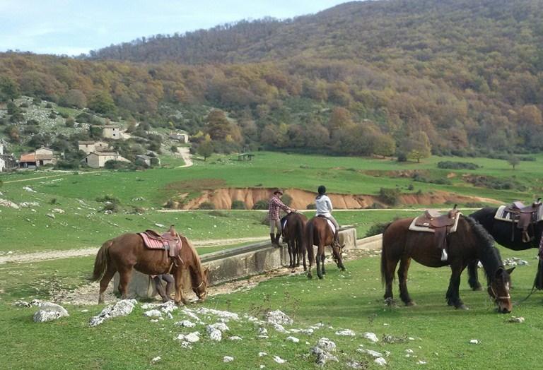 Titolo: Nature & Outdoor