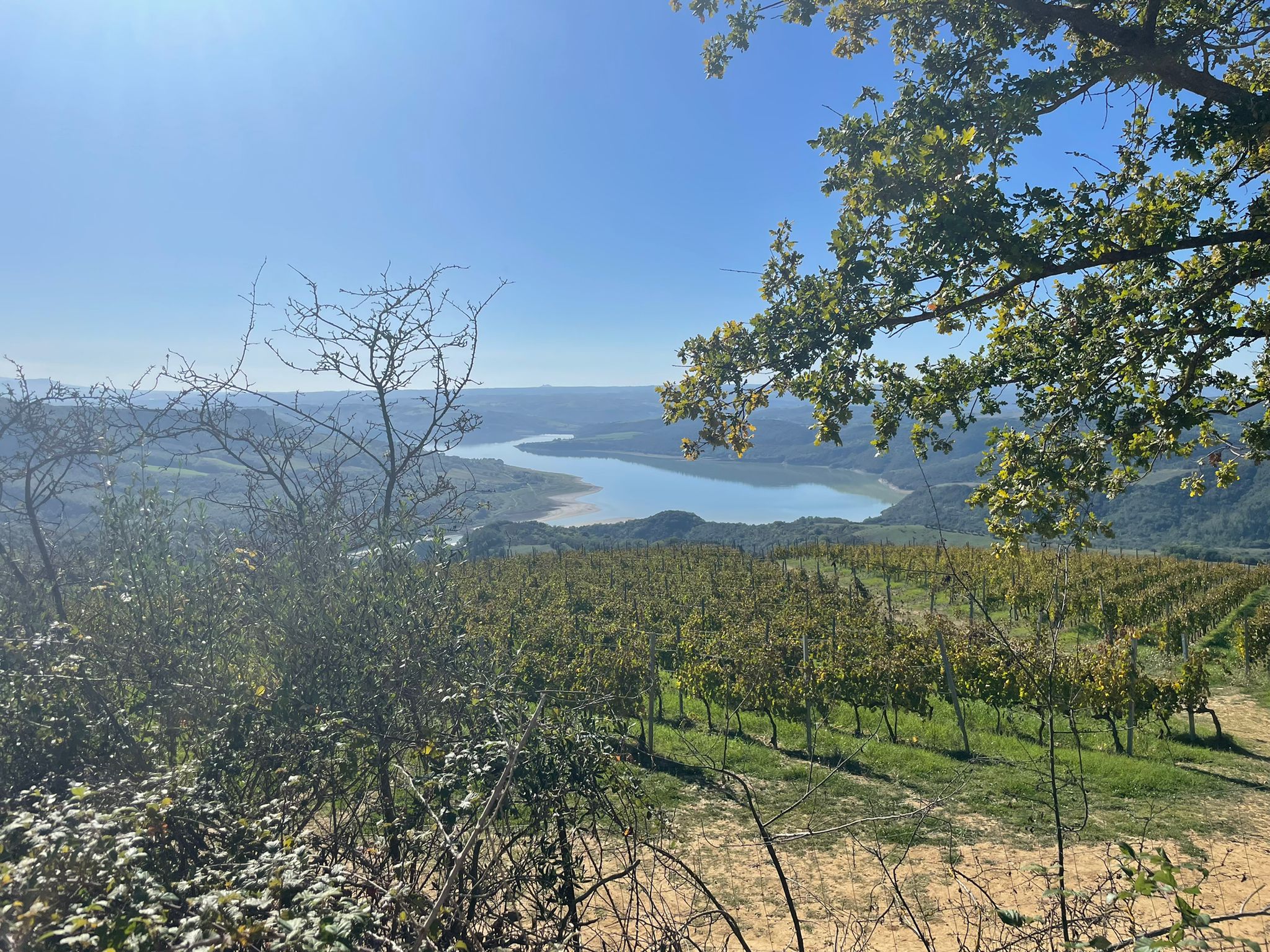 Vista del Canyon e Lago di Corbara