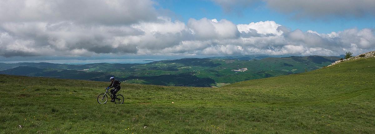 Titolo: Territory proposal