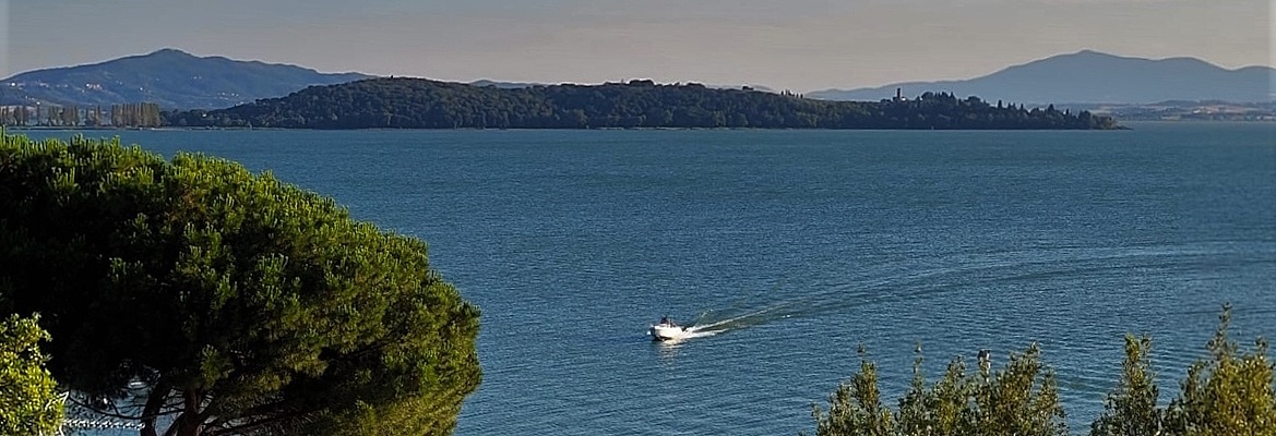 Monte del Lago - Magione
