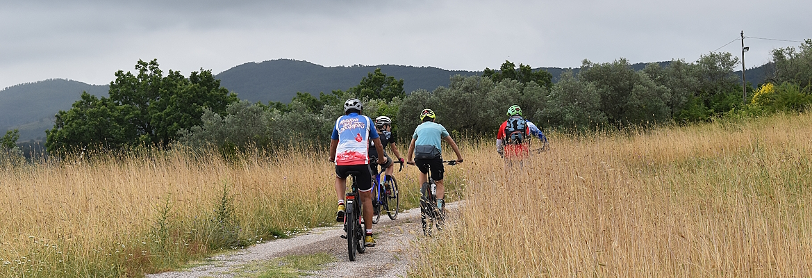 Titolo: Among the holm oaks and oaks of the Tiber Valley